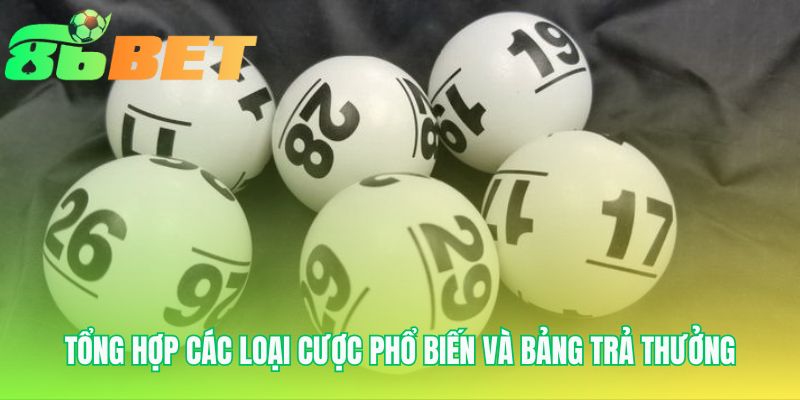 Mỗi loại cược phổ biến có tỷ lệ trả thưởng riêng biệt