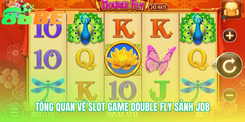 Slot game Double Fly sở hữu cấu trúc 243 cách thắng hiện đại