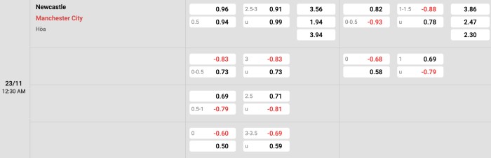 Newcastle vs Man City