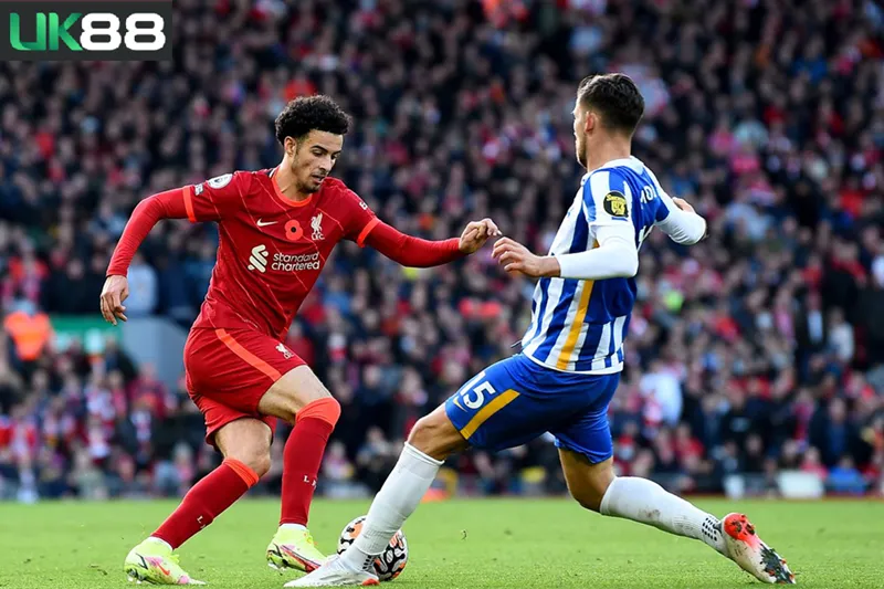Kèo nhà cái Liverpool vs Brighton uk88