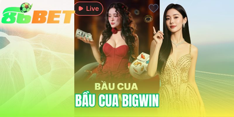 Bầu Cua Bigwin | Luật Chơi Và Cơ Chế Big Win Mới Nhất 2025