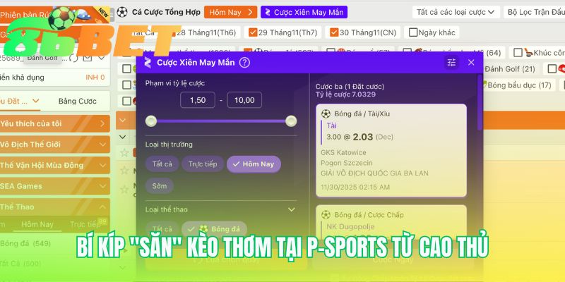 Tuyệt chiêu săn kèo giá trị tại P-Sports được cao thủ tiết lộ