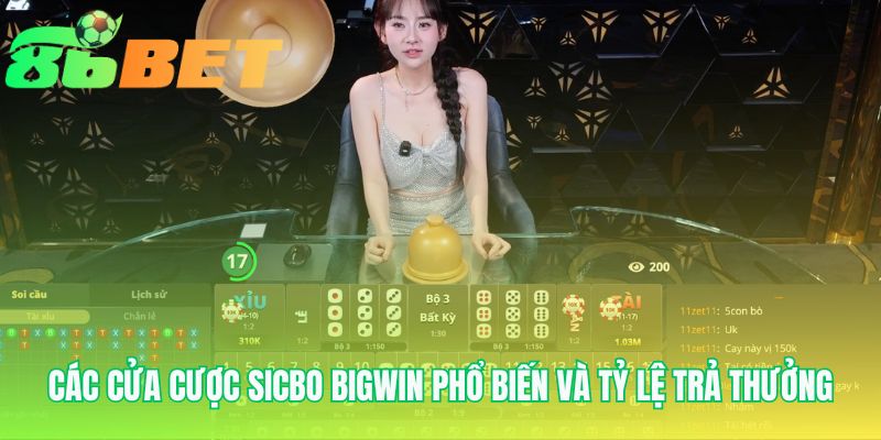 Các cửa cược Sicbo Bigwin đa dạng từ Tài Xỉu đến cược bộ ba