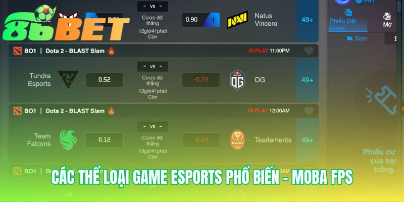 Các bộ môn thể thao điện tử hàng đầu Moba và FPS