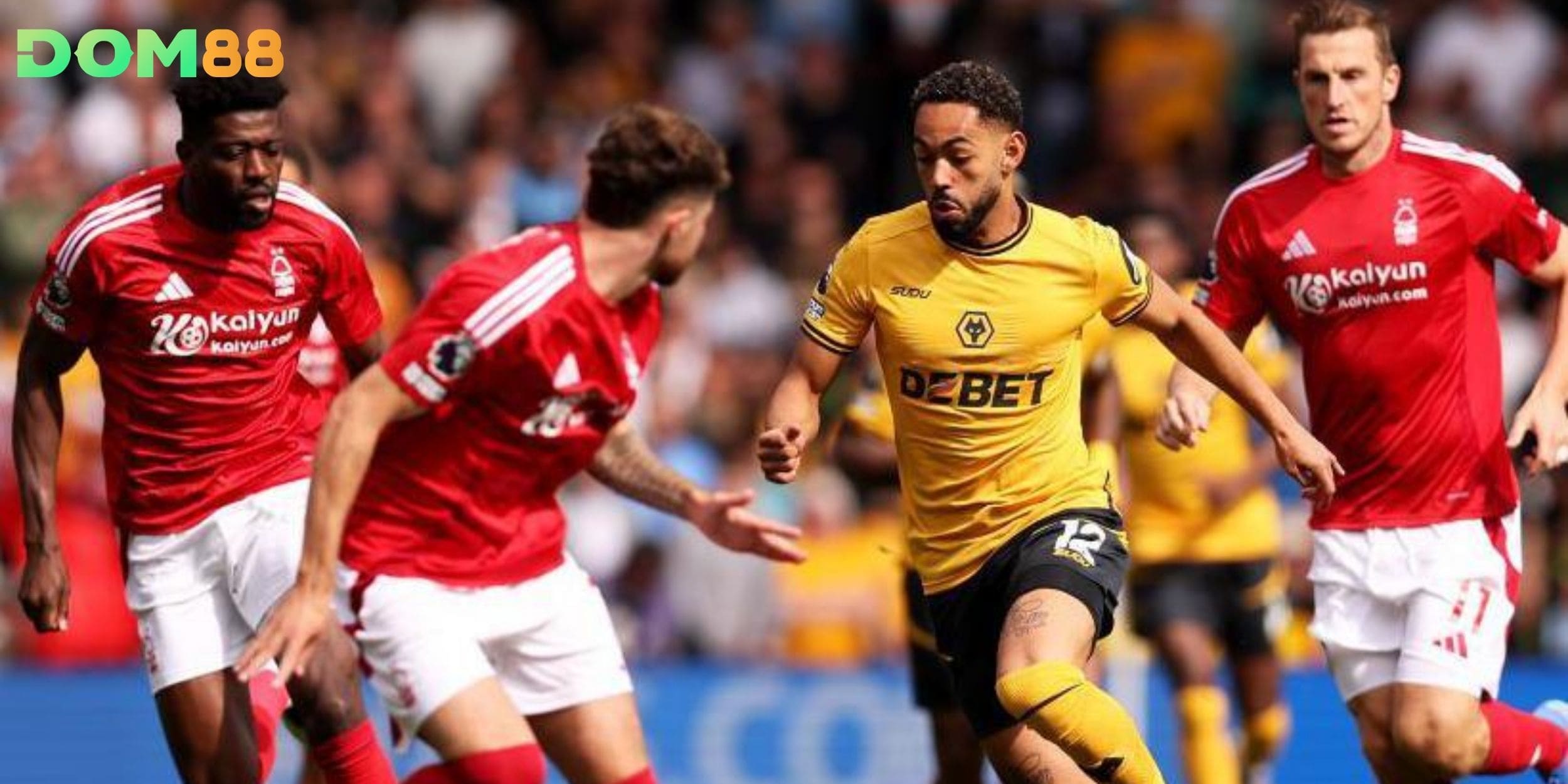 Dự đoán kèo Wolverhampton Wanderers vs Nottingham Forest