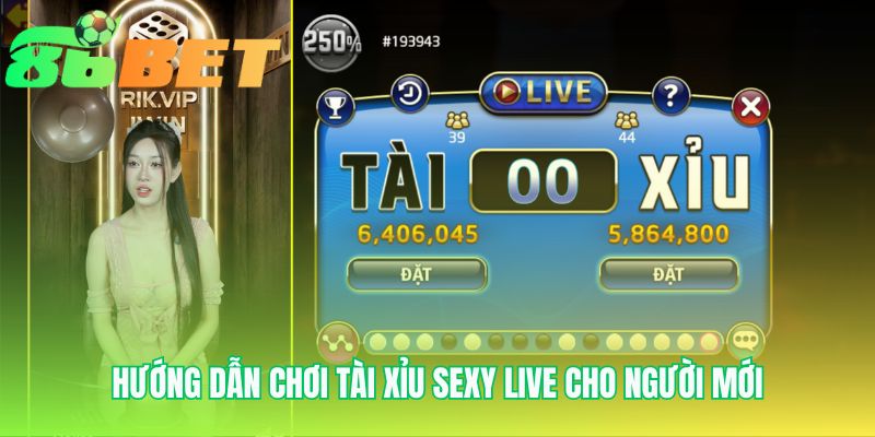 Hướng dẫn chơi tài xỉu sexy live với luật chơi cực kỳ dễ hiểu
