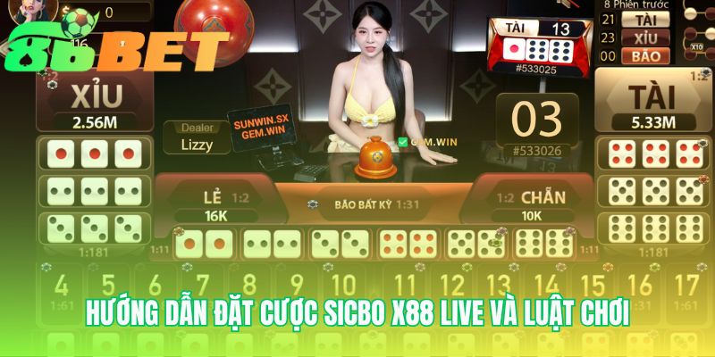 Các cửa cược Sicbo x88 live từ an toàn đến đột phá