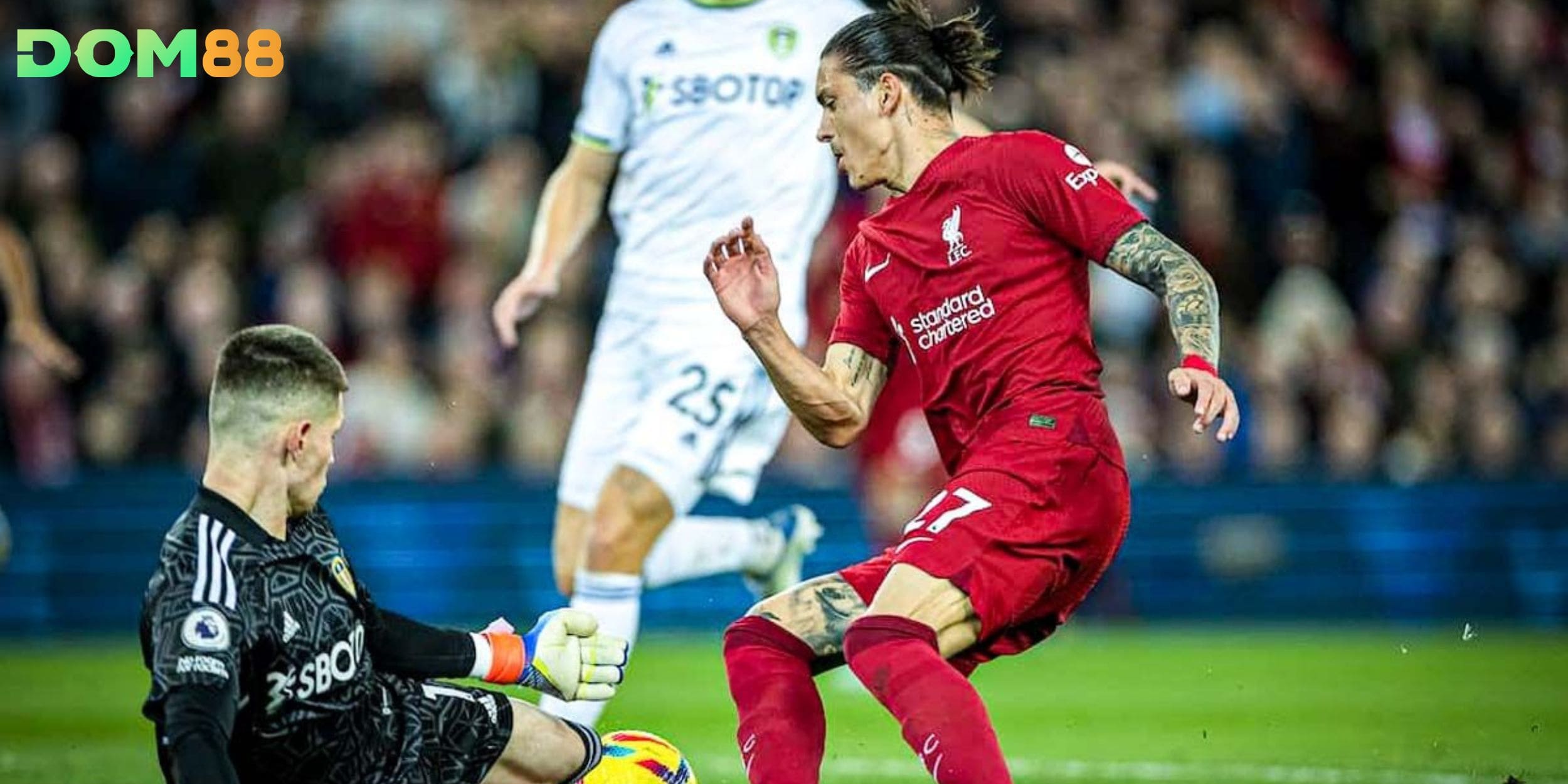 Kết quả giữa Leeds United vs Liverpool trong 10 trận gần nhất