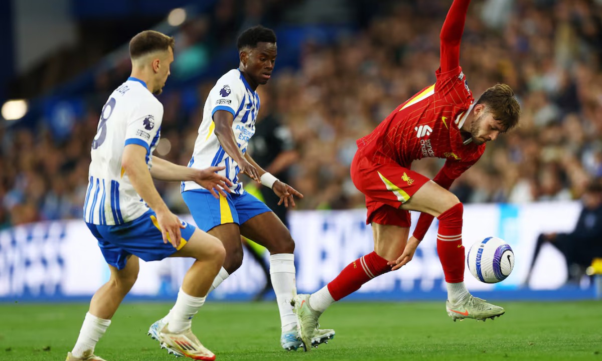 Phân tích phong độ Liverpool vs Brighton