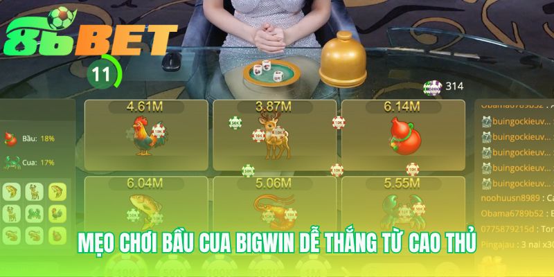 Mẹo chơi dễ thắng ứng dụng soi cầu theo lịch sử ván đấu