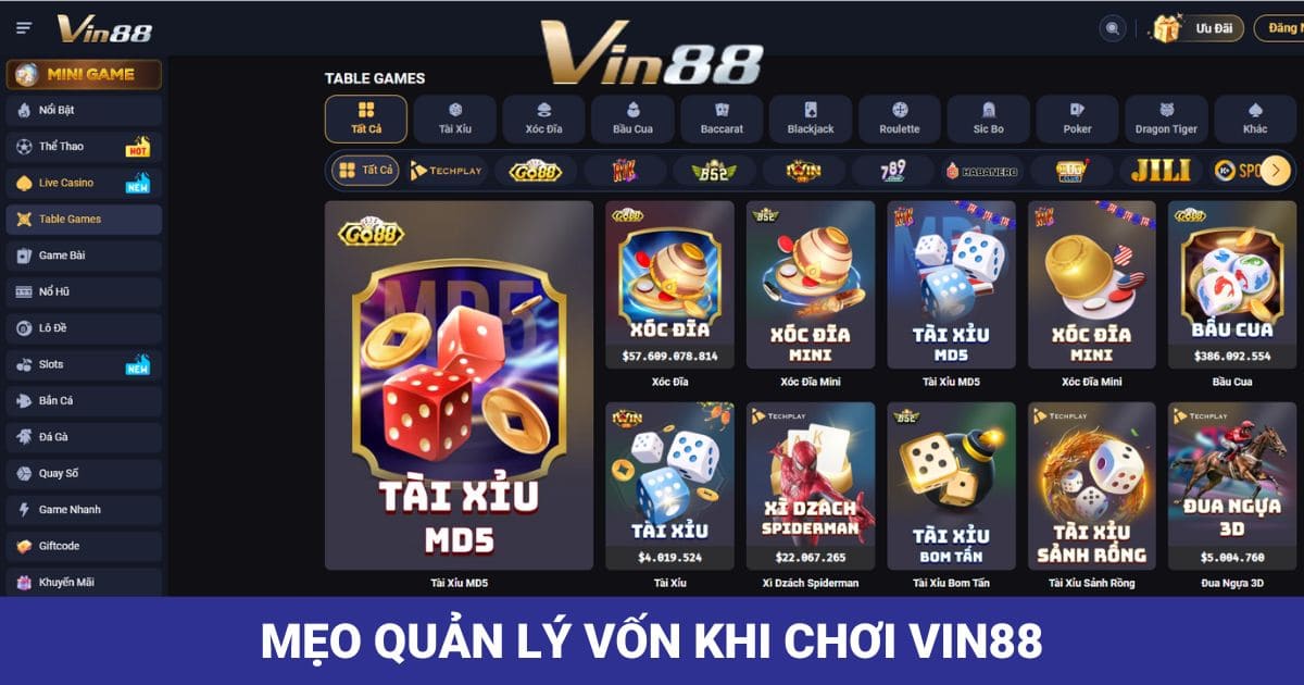 Mẹo quản lý vốn khi chơi Vin88