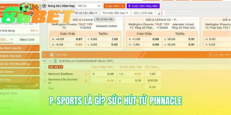 Sảnh cược P-Sports thừa hưởng tỷ lệ odds cạnh tranh nhất