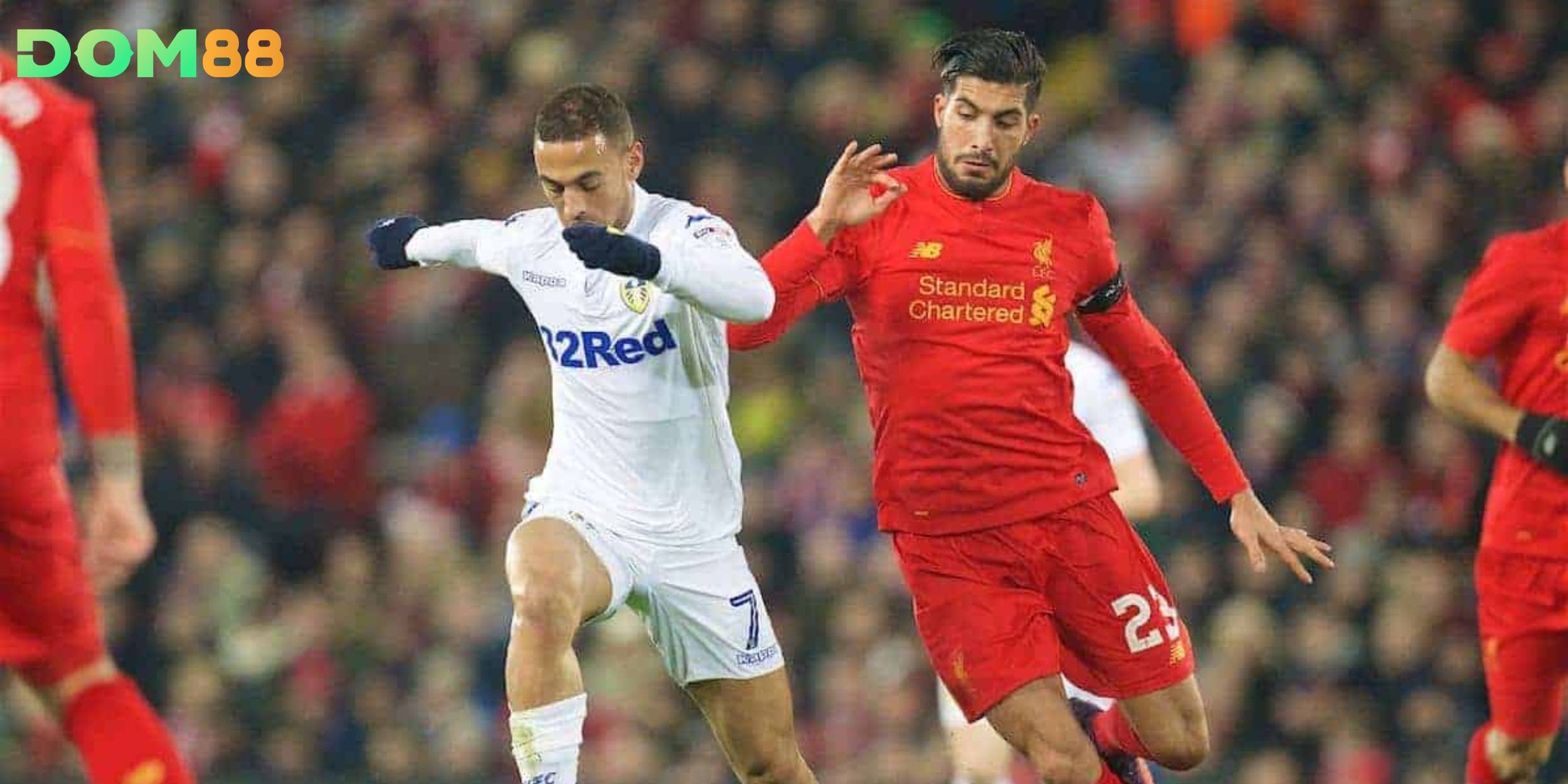 Phân tích phong độ giữa Leeds United vs Liverpool trước vòng 15