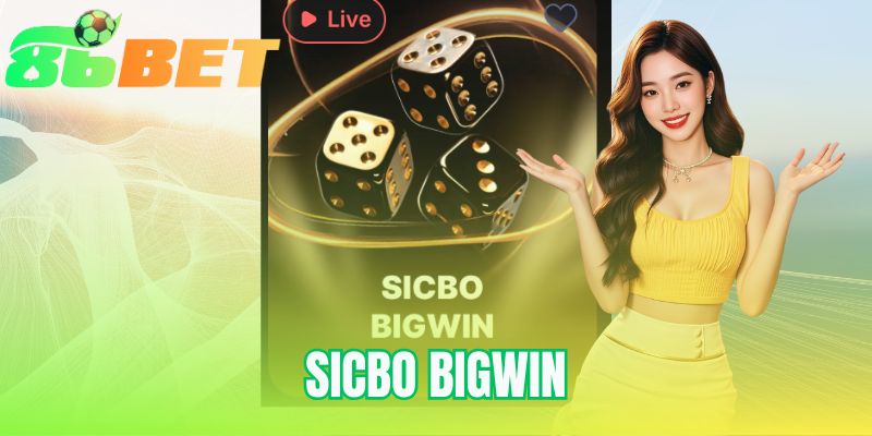 Sicbo Bigwin | Top 5 Cửa Cược Dễ Thắng Nhất Cùng 86BET