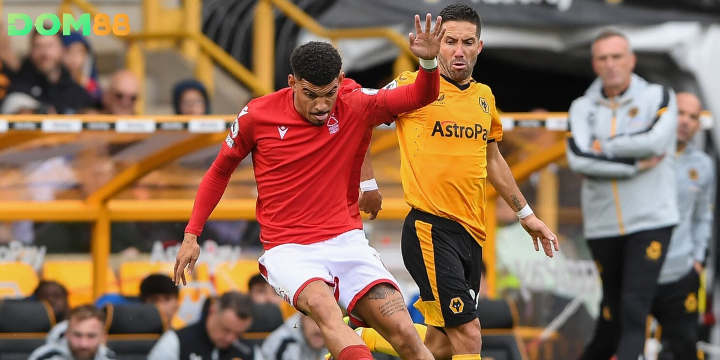 So sánh Wolves & Forest - Các chỉ số nghiêng về đội khách