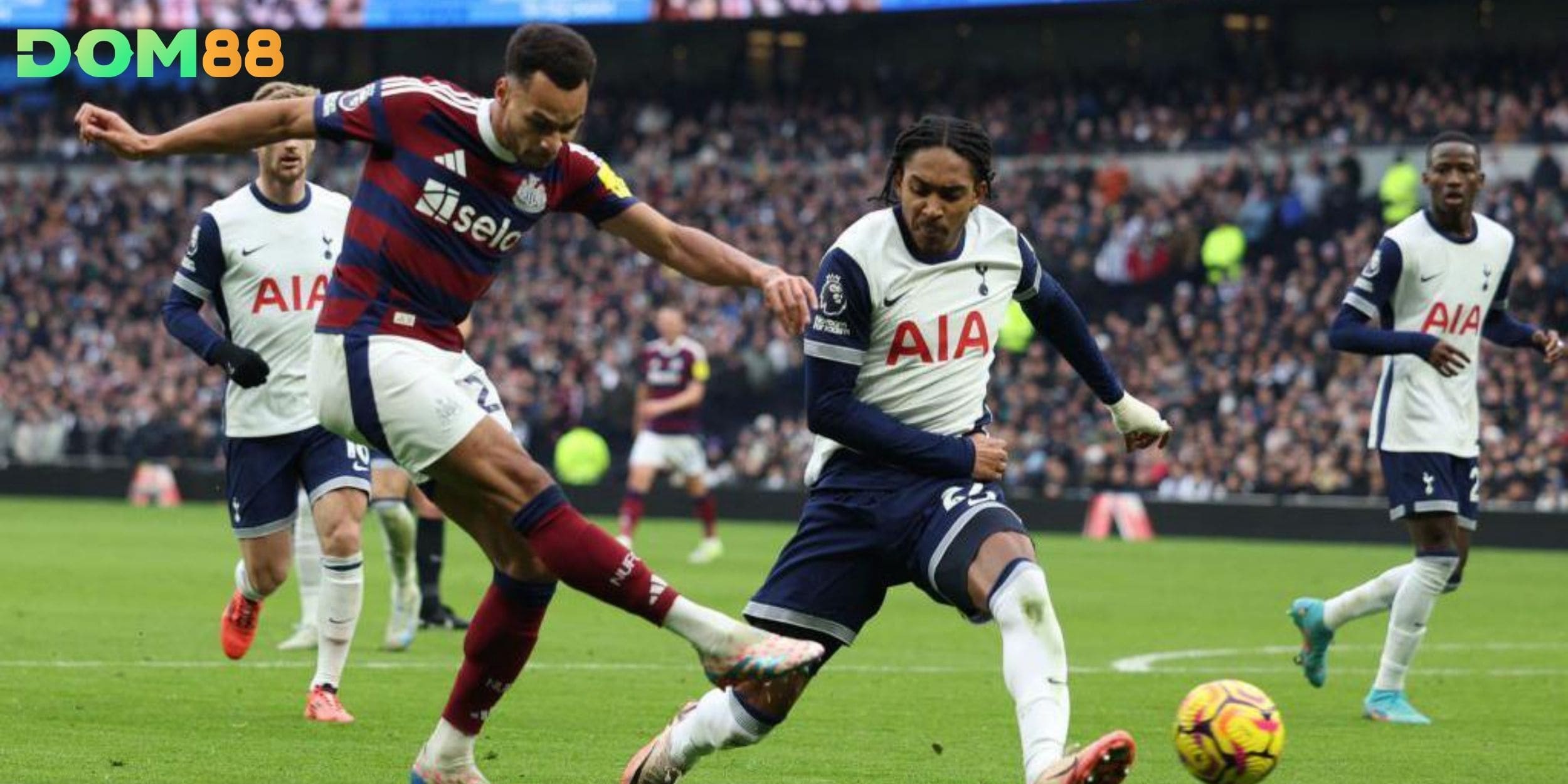 Thống kê phong độ 10 trận gần nhất của Newcastle United