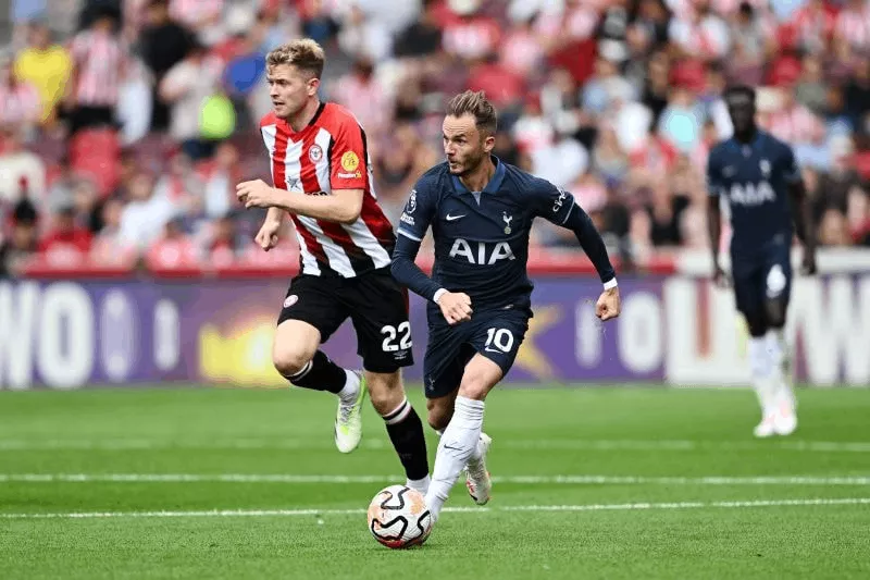 Thành tích thi đấu gần đây của Tottenham vs Brentford