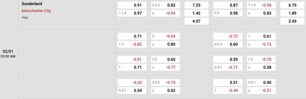 Sunderland vs Man City