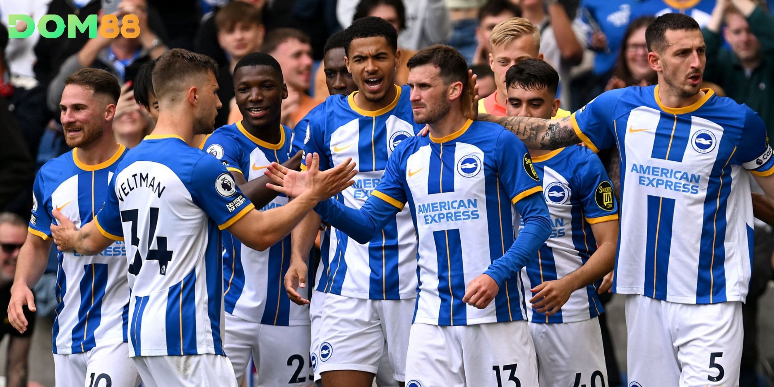 Brighton duy trì phong độ ổn định nhưng thiếu bứt phá rõ rệt