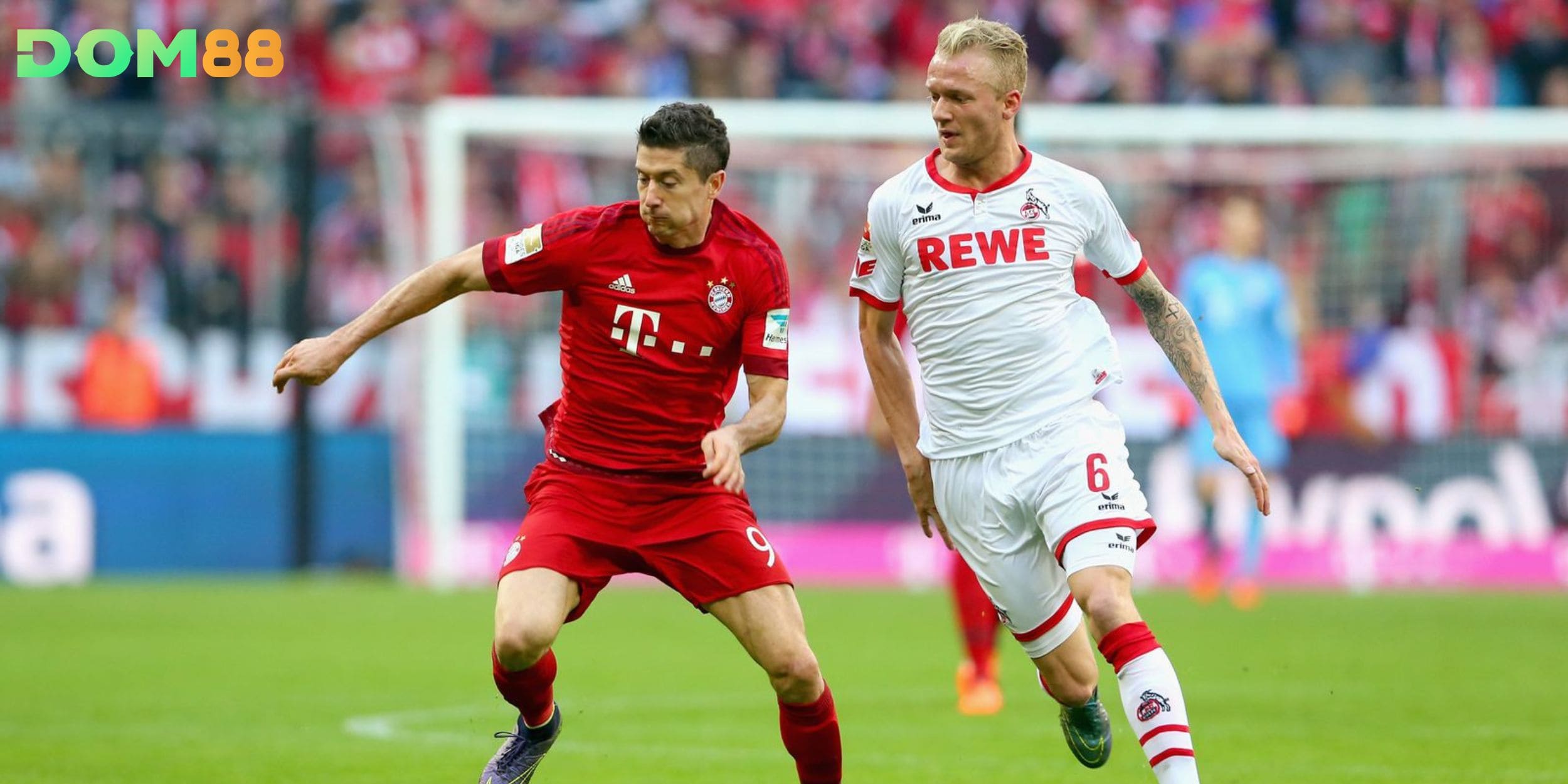 Köln vs Bayern Munich cho thấy chênh lệch lớn về tỷ lệ kèo