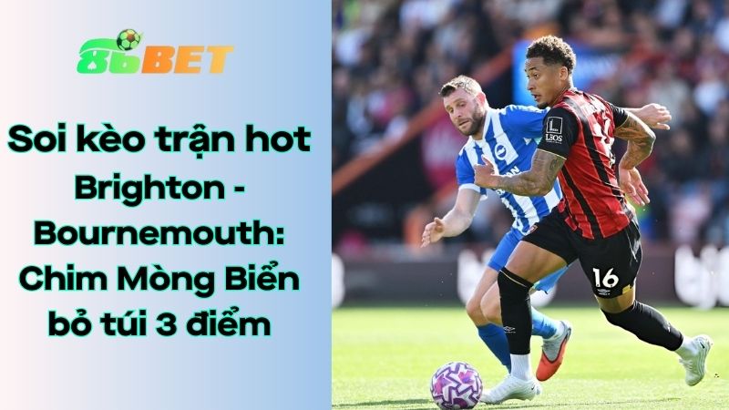 Soi kèo nhà cái 86BET Brighton - Bournemouth: 03h00 - 20/01/2026 - Ngoại hạng Anh