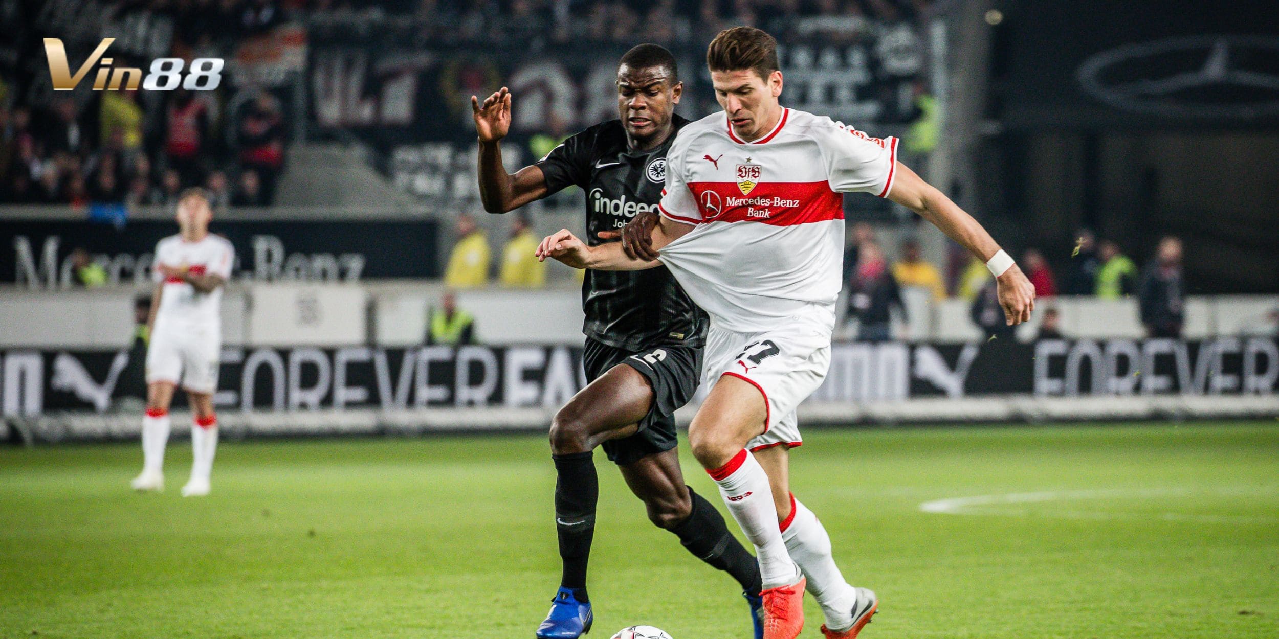 Stuttgart vs Eintracht Frankfurt nghiêng nhẹ về chủ nhà theo kèo 1X2