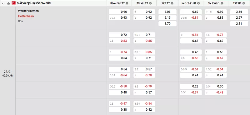 Soi kèo Werder Bremen vs Hoffenheim
