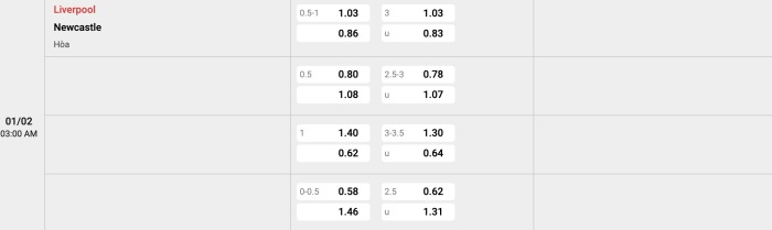 Liverpool vs Newcastle