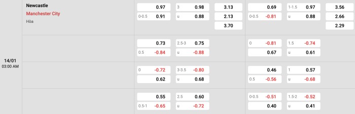 Newcastle vs Man City