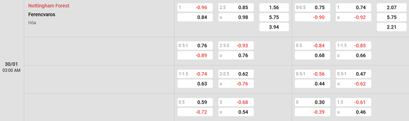 Cập nhật tỷ lệ kèo trận đấu giữa Nottingham vs Ferencvaros