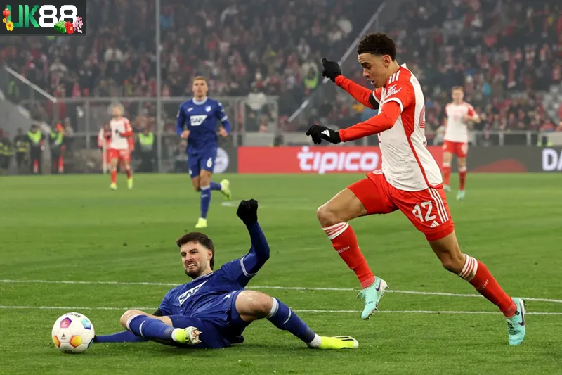 Kèo nhà cái Bayern Munich vs Hoffenheim uk88