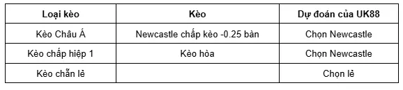 Tottenham vs Newcastle uk88 33