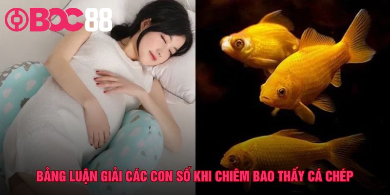 Bảng giải mã số may mắn theo từng chi tiết giấc mộng