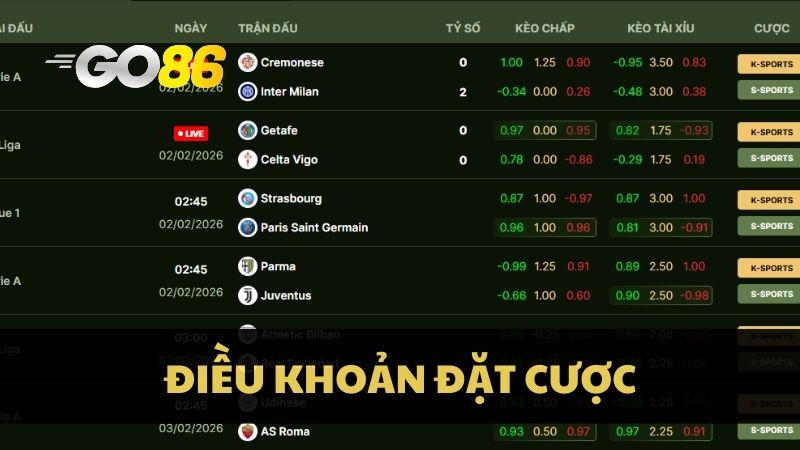 Nắm rõ điều khoản về đặt cược trước khi xuống tiền