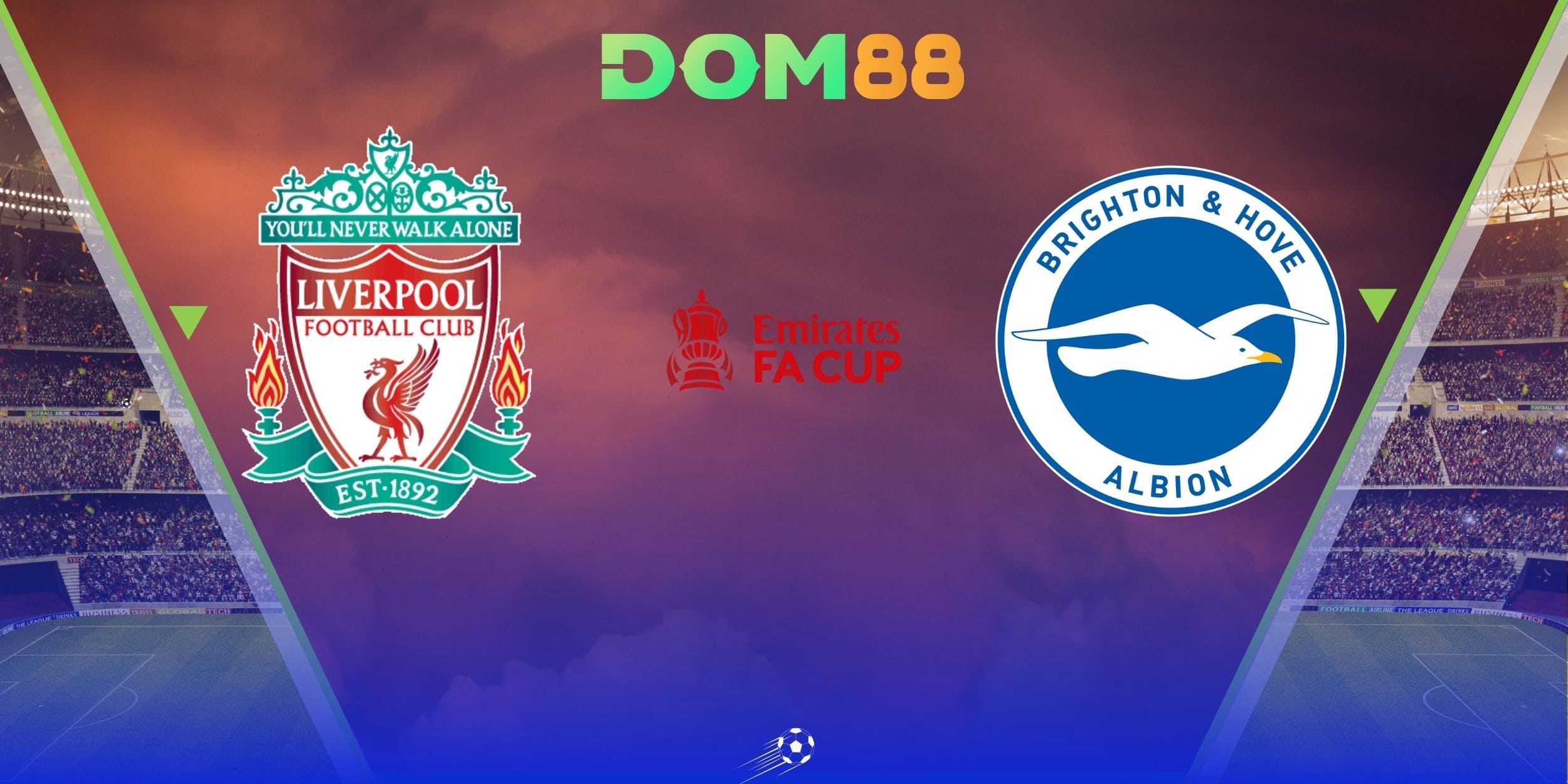 Liverpool vs Brighton & Hove Albion diễn ra lúc 03:00 ngày 15-02-2026