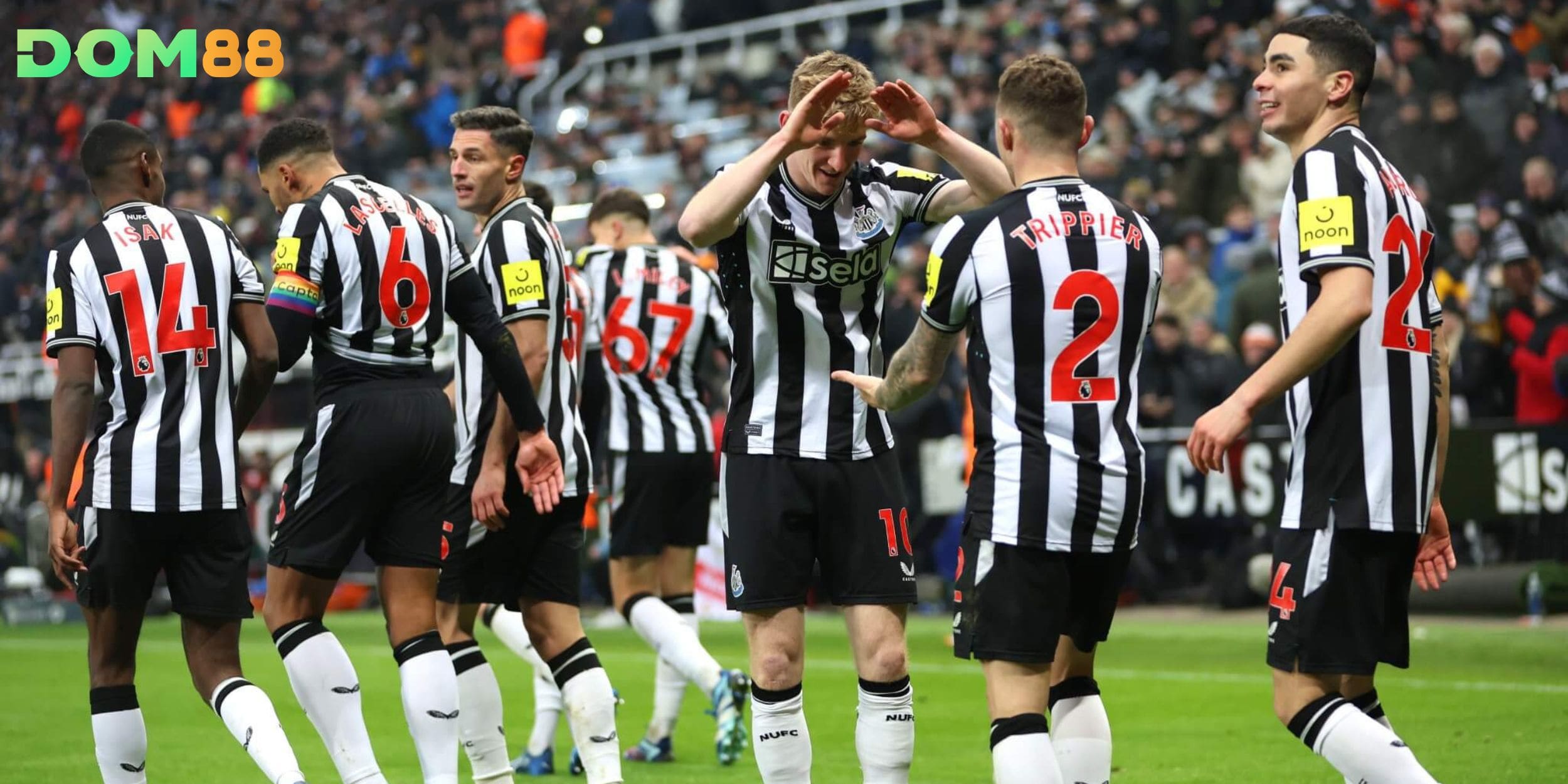 Phong độ sân khách thiếu ổn định khiến Newcastle United gặp bất lợi