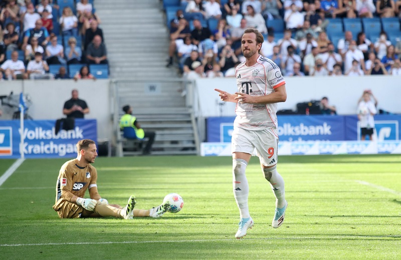 Phong độ các trận đấu gần đây của - Bayern Munich vs Hoffenheim