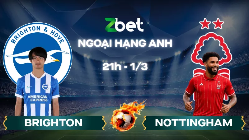 Nhận định soi kèo Brighton vs Nottingham – 21h00 01/03/2026 – Ngoại hạng Anh