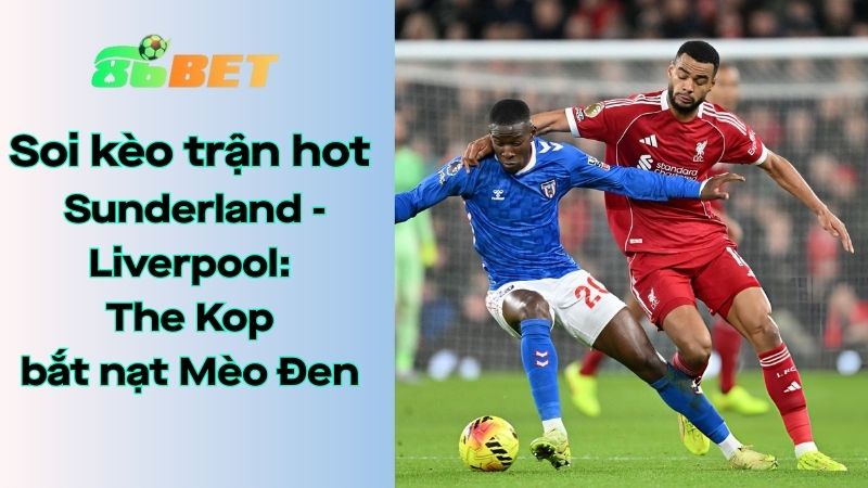 Soi kèo nhà cái 86BET Sunderland – Liverpool: 03h15 – 12/02/2026 – Ngoại hạng Anh