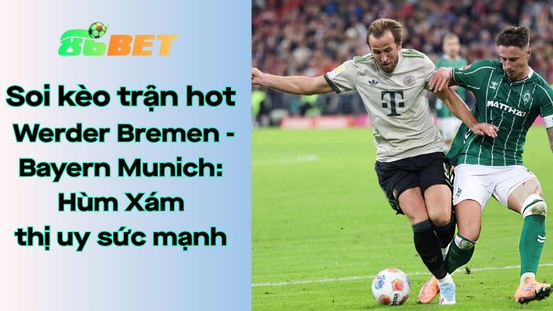 Soi kèo nhà cái 86BET Werder Bremen – Bayern Munich: 21h30 – 14/02/2026 – Bundesliga