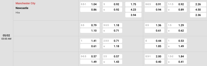 Man City vs Newcastle