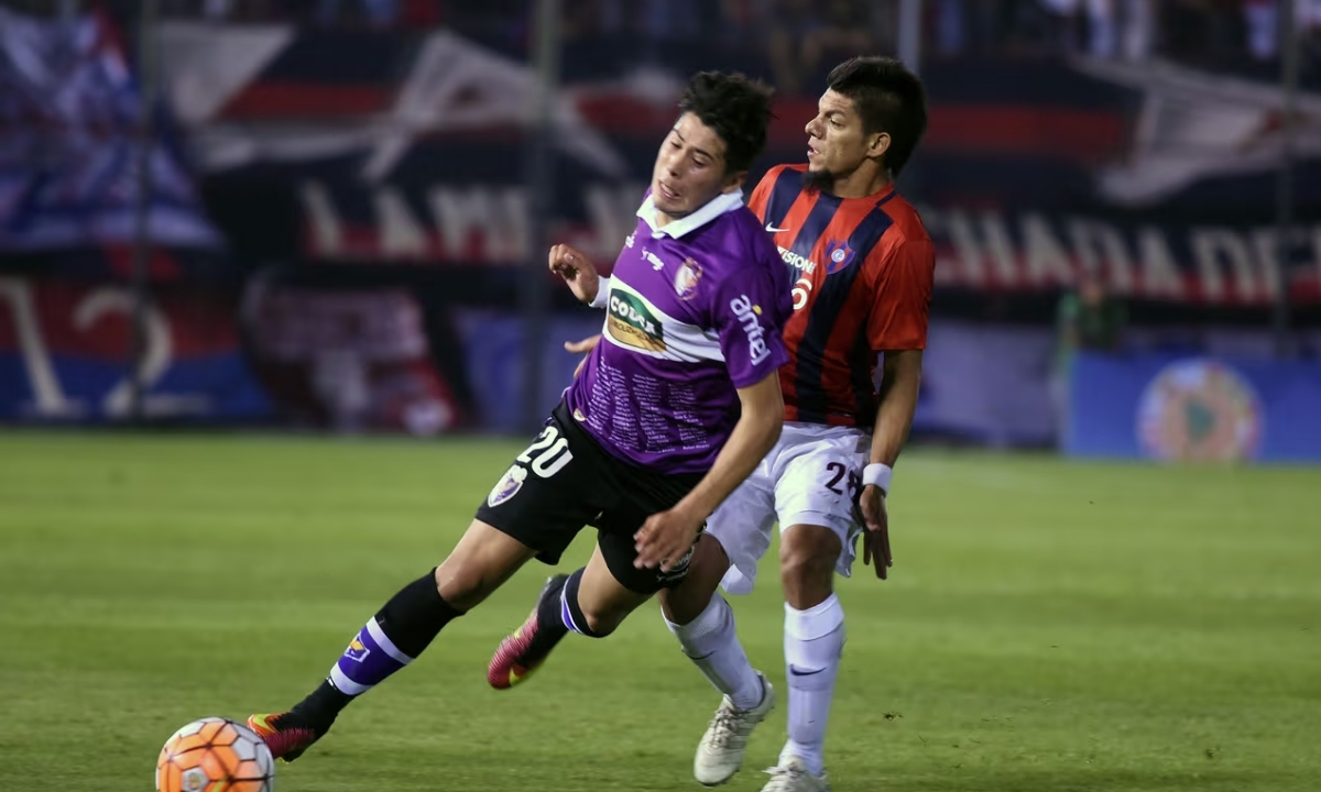 Phân tích phong độ Albion vs Wanderers