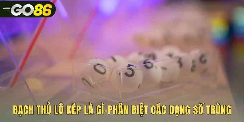 Nền tảng bạch thủ lô kép qua các dạng số trùng phổ biến