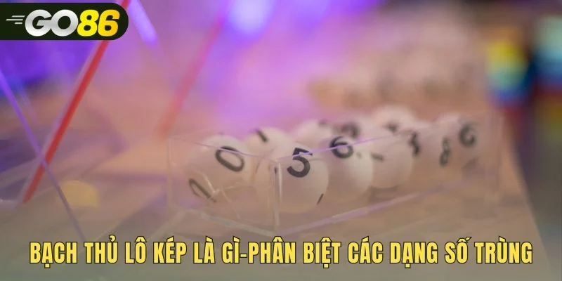 Nền tảng bạch thủ lô kép qua các dạng số trùng phổ biến