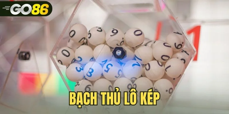 Bạch Thủ Lô Kép | Cẩm Nang Soi Cầu Và Bắt Số Tại Go86