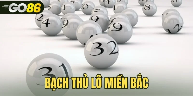 Bạch Thủ Lô Miền Bắc – Gợi Ý Cầu Đẹp Hôm Nay Tại GO86