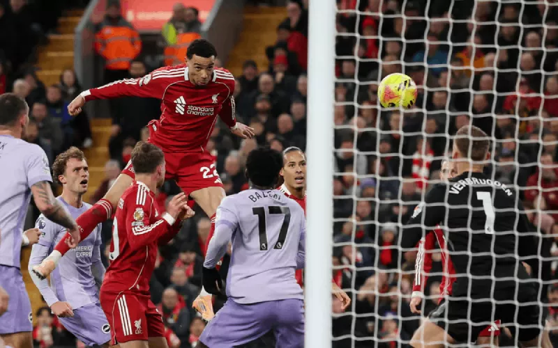 Thành tích thi đấu gần đây của Brighton vs Liverpool
