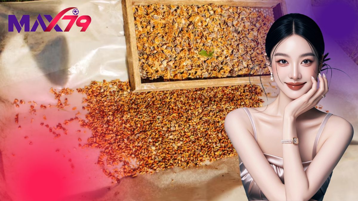 Cách Trộn Thức Ăn Cho Gà – Công Thức Chuẩn Gà Thịt Và Gà Chọi