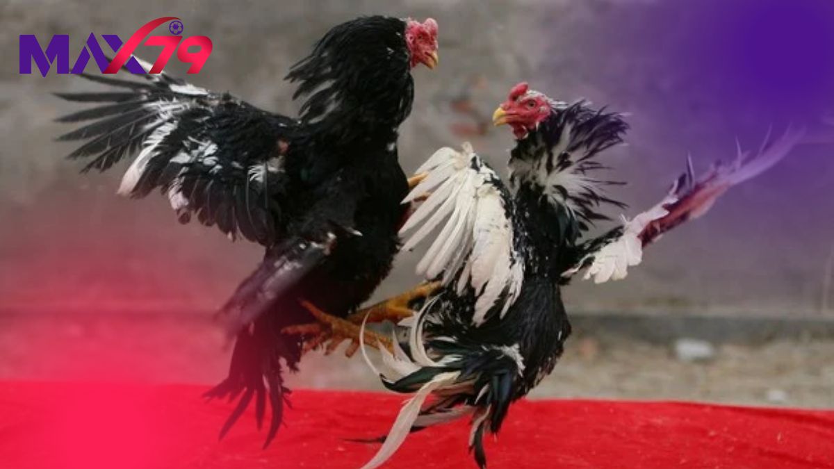 Đôi chân thanh thoát hé lộ linh kê qua vảy quý