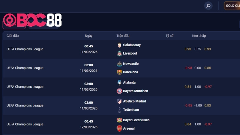 Điều khoản đặt cược trên BOC88